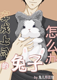 下班，变成讨厌上司的兔子