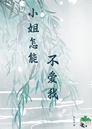 小姐怎能不爱我